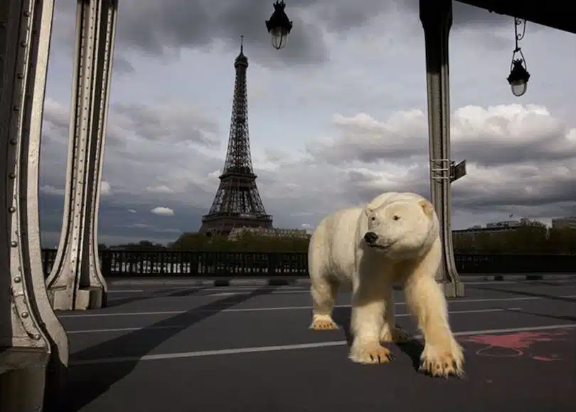 Michel Fraile Paris