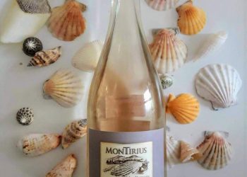 Zoom sur …. « Perle de rosée »