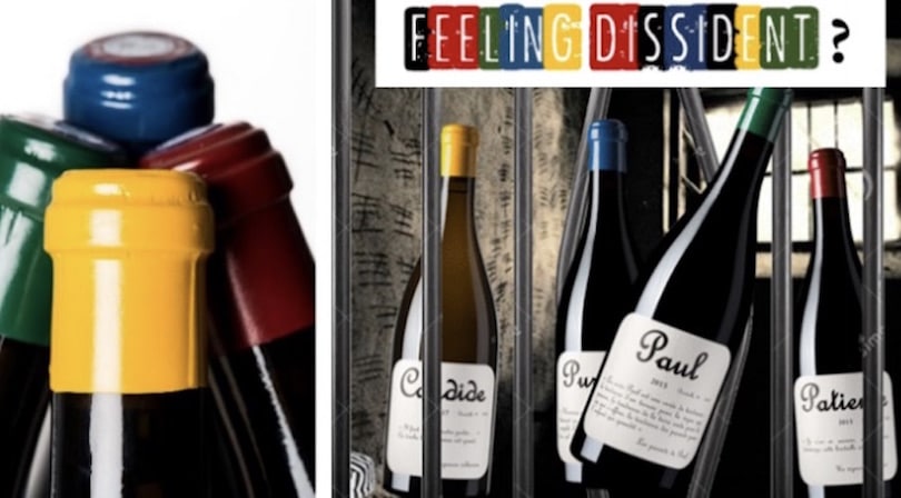 Zoom sur… « la Culottée »