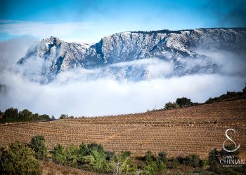 Une nouvelle identité affirmée pour les vins de Saint-Chinian