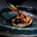 Guide Michelin 2021 : le plein d&rsquo;étoiles pour Top Chef