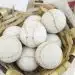 Balls to play in a pediment, detail of an accessory for sports, animal skin ball, sport