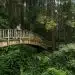 bain-foret-lcv-magazine