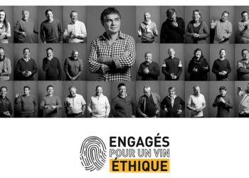 Vignobles Gabriel & Co : le collectif engagé pour le vin éthique
