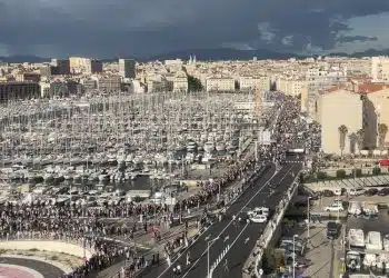 Le Vieux Port de Marseille, le 8 mai 2024 - © Christophe Madrolle