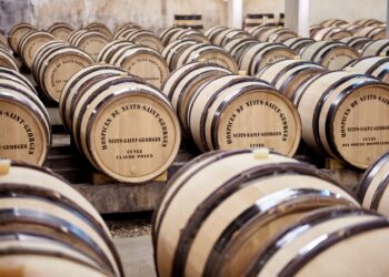 Sous les voûtes du Clos de Vougeot, les Hospices de Nuits célèbrent le renouveau