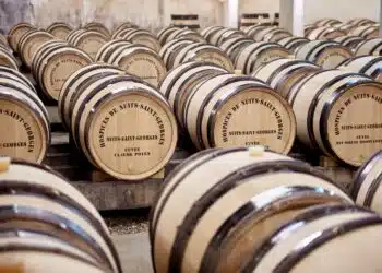 © Studio Morfaux - Hospices de Nuits-Saint-Georges