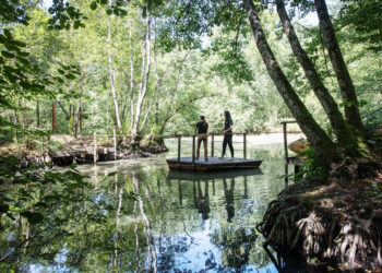 La foret des 5 sens, Sentier Land Art, Chateau Smith Haut Lafitte, Photo R. Valerio DR