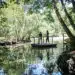 La foret des 5 sens, Sentier Land Art, Chateau Smith Haut Lafitte, Photo R. Valerio DR