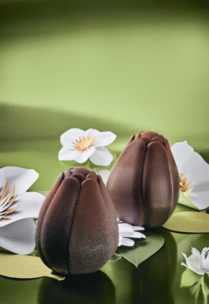 Lenôtre — Saison Nouvelle
Une collection inspirée du printemps, où fleurs et créations chocolatées célèbrent le renouveau avec fraîcheur et légèreté.
Prix : 45 €