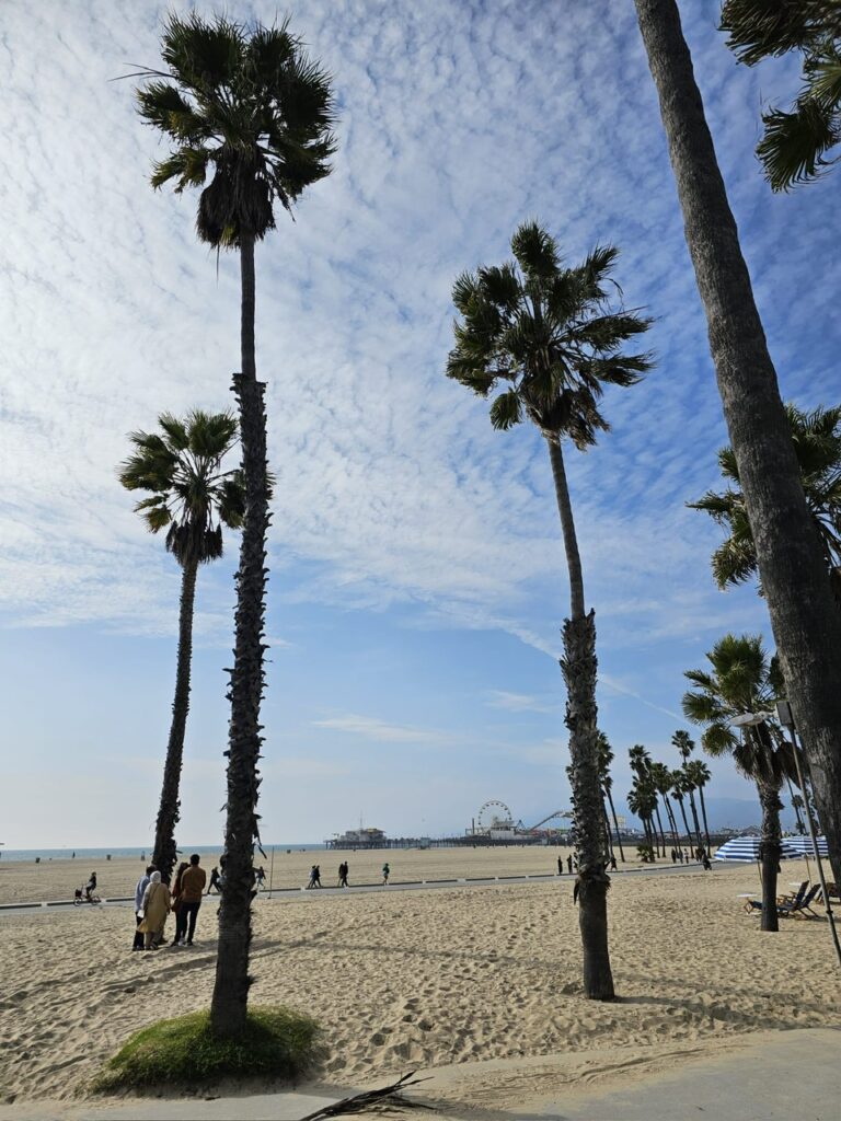 Santa Monica et ses sublimes palmiers, Photographies SG, All rights reserved.