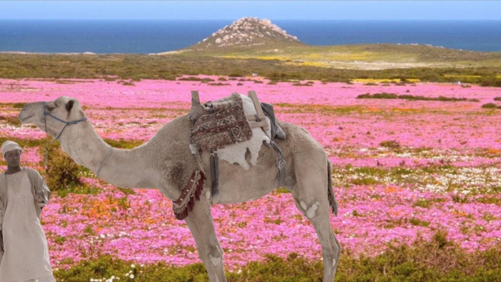 Sophia Al Maria, The Future was Desert Part 1. Courtesy the artist and the Third Line, Dubai