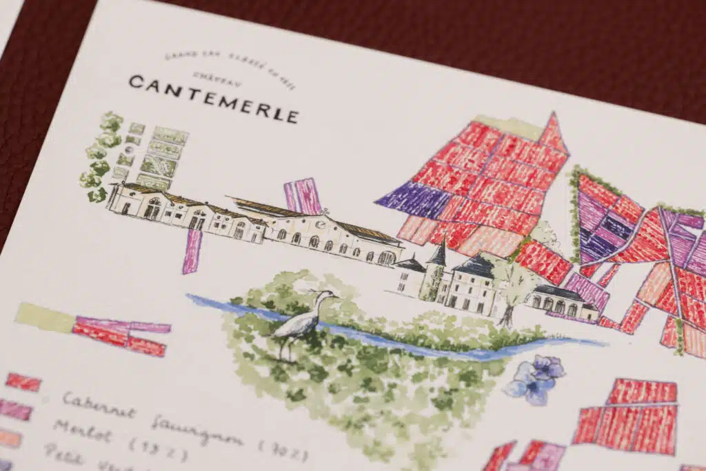 Plan Cantemerle œnotourisme