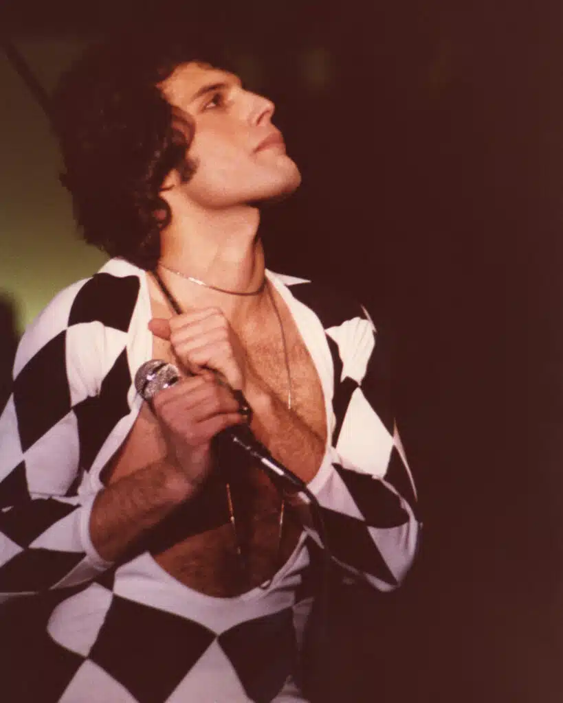 Freddie Mercury à Saint-Rémy-de-Provence, Photo DR