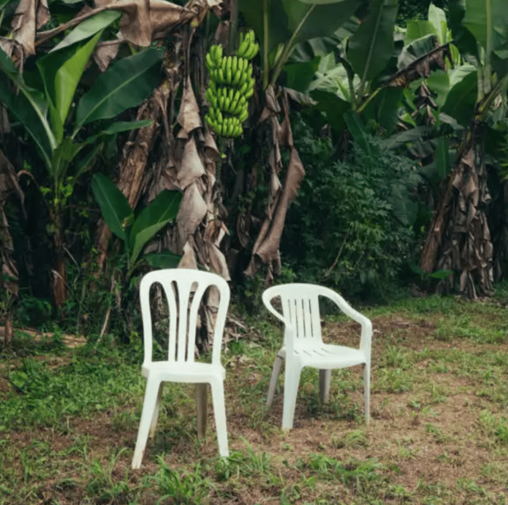 Bad Bunny, Album «Debí Tirar Más Fotos» de Bad Bunny. © DR