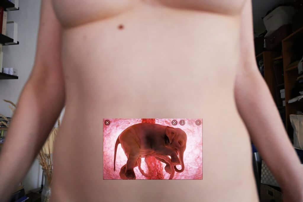Marthe Lazarus, Exposition Galerie Mémoire Magnétique, Le ventre éléphant, Photo DR